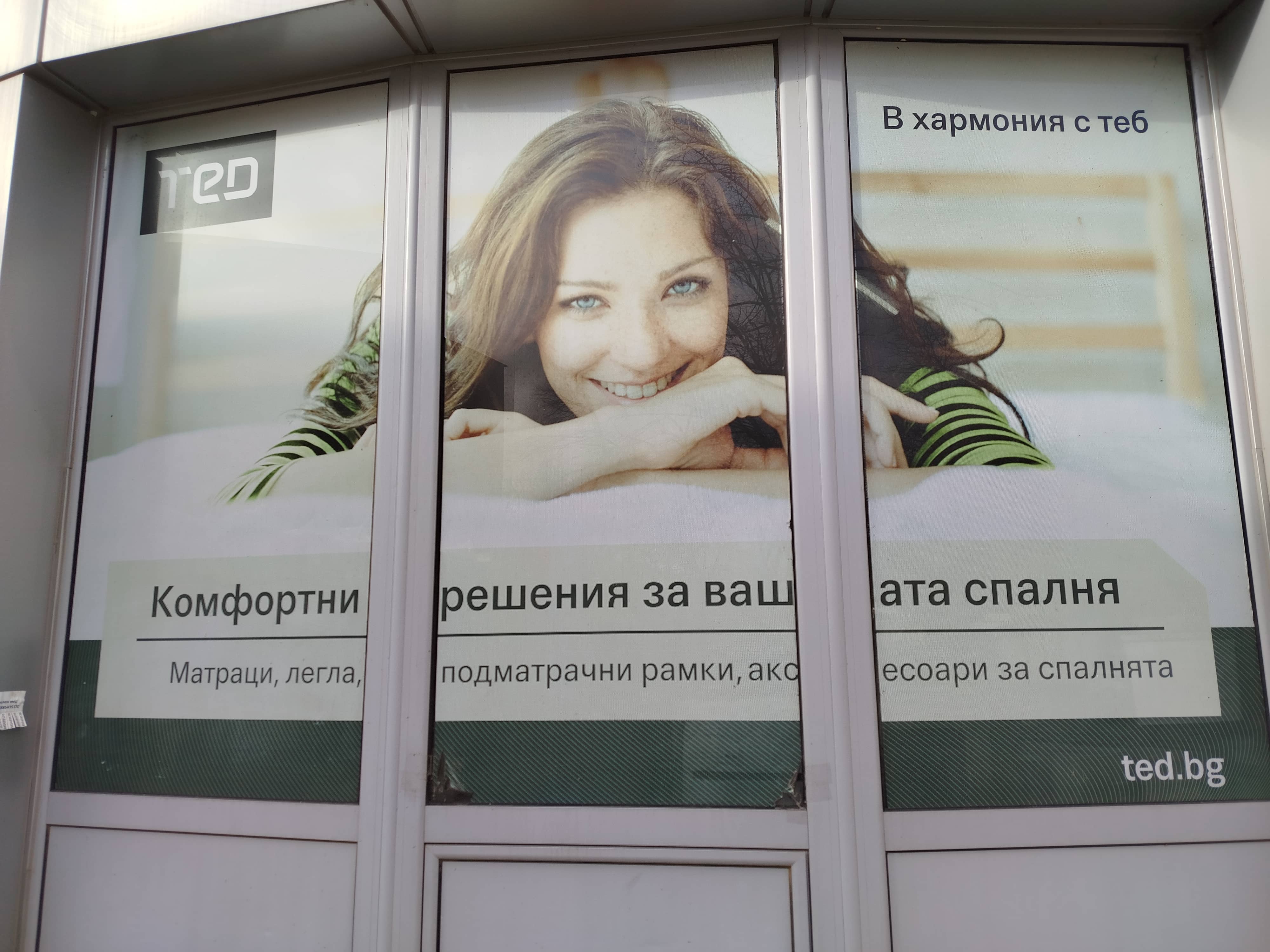 TED ФИРМЕН МАГАЗИН